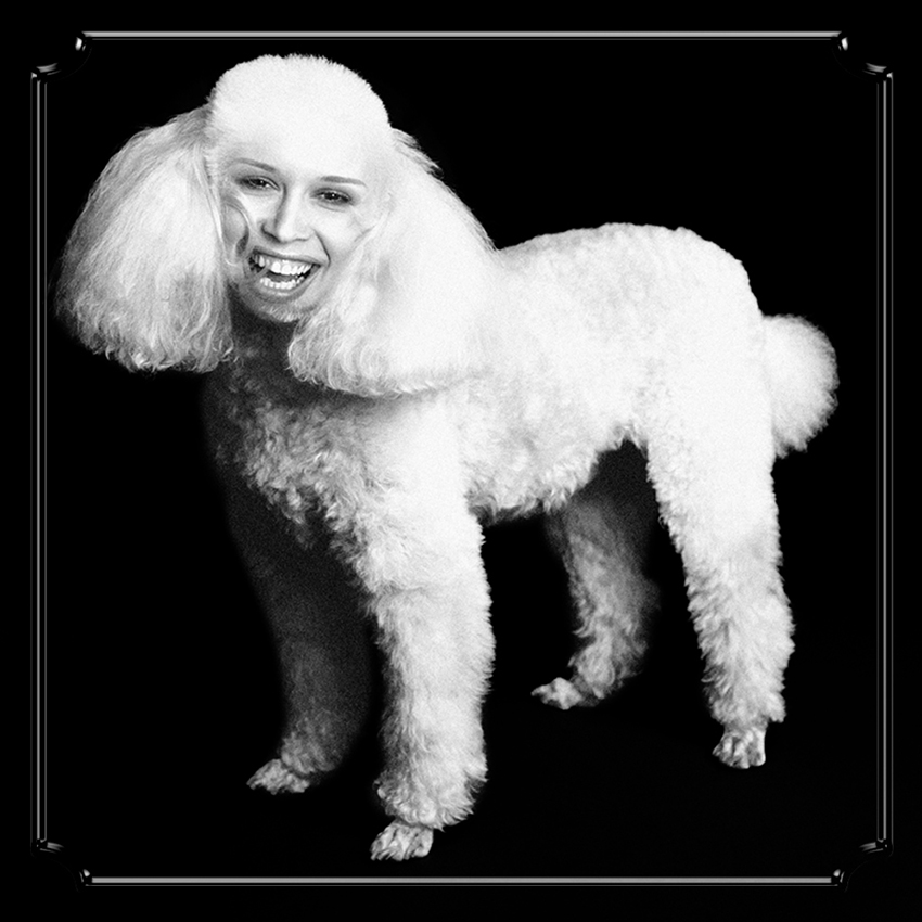 photomontage en noir et blanc représentant un caniche royal blanc avec un visage souriant de femme humaine